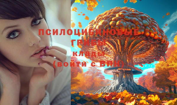a pvp Нефтекумск