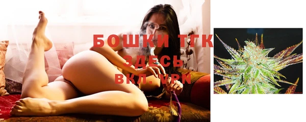 гашик Нея