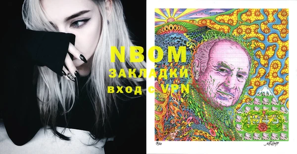 гашик Нея
