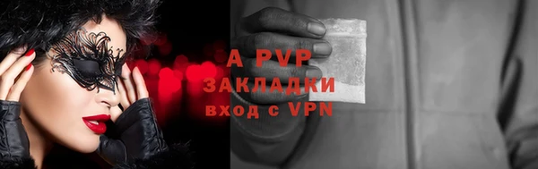 гашик Нея