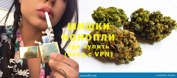 гашик Нея
