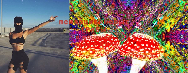 дмт Нефтегорск