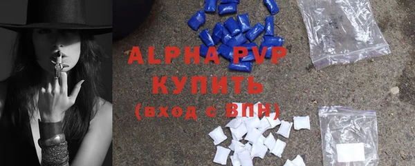 гашик Нея