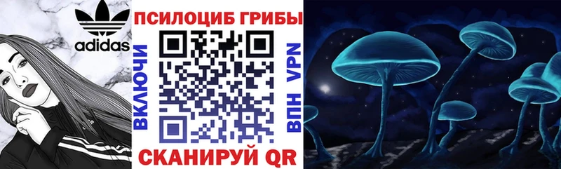 KRAKEN tor  Шацк  Псилоцибиновые грибы мицелий 