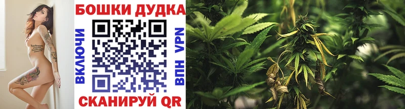 Марихуана индика  omg   Шацк  продажа наркотиков 